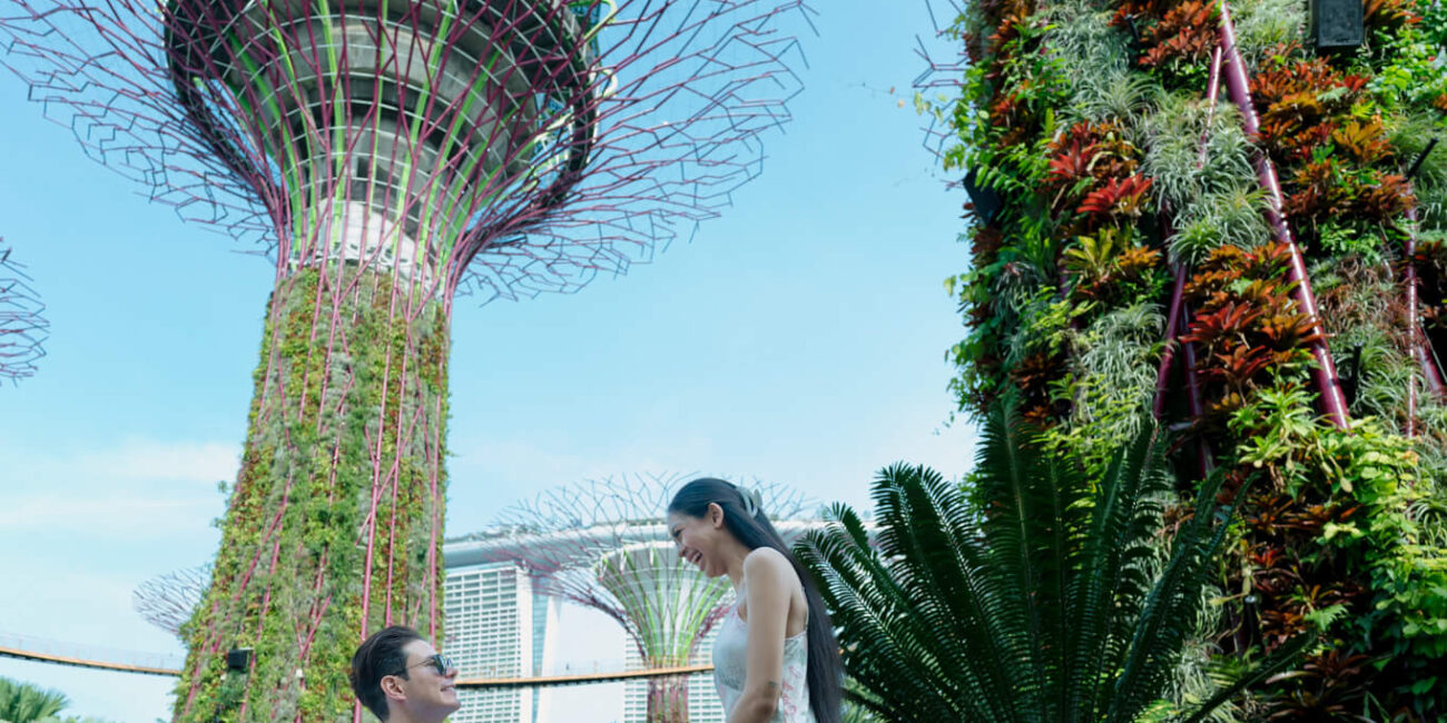 Mhedi and Pia Wedding Proposal Photoshoot