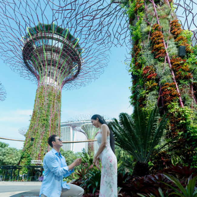 Mhedi and Pia Wedding Proposal Photoshoot